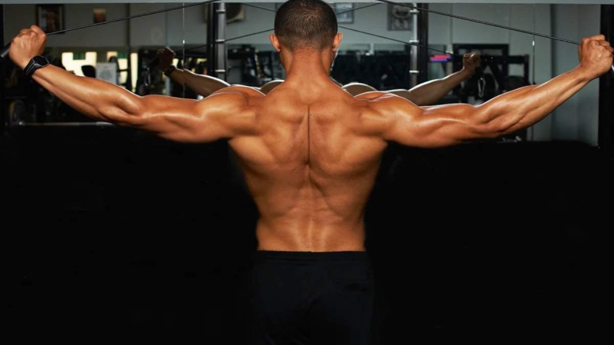 Compound Back Exercises: What Are They?