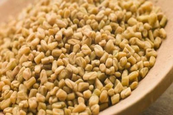 The Natural Seeds-Fenugreek for Hair (1)