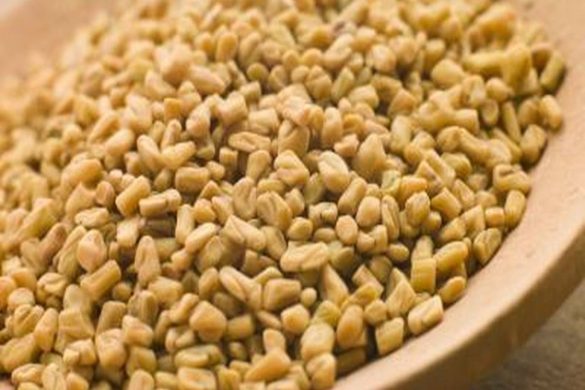 The Natural Seeds-Fenugreek for Hair (1)